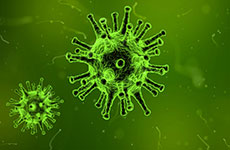 Virus as seen under an electron microscope against a green background.